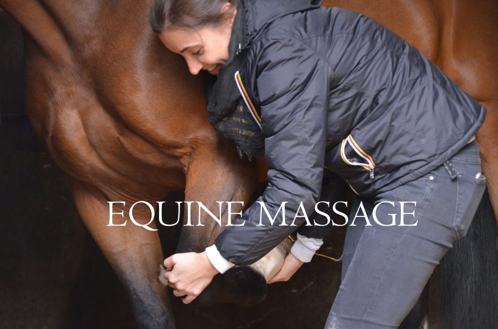 Equine massage
